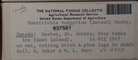 Image Associated With the Occurence